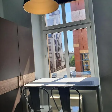 Lejlighed Loft W Zabytkowej Kamienicy Z Widokiem Na Palac Stettin