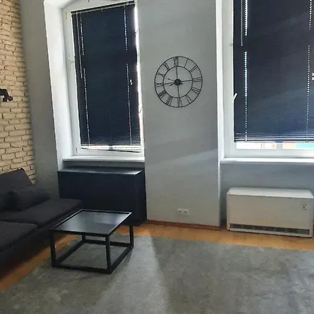 Loft W Zabytkowej Kamienicy Z Widokiem Na Palac Lejlighed Stettin